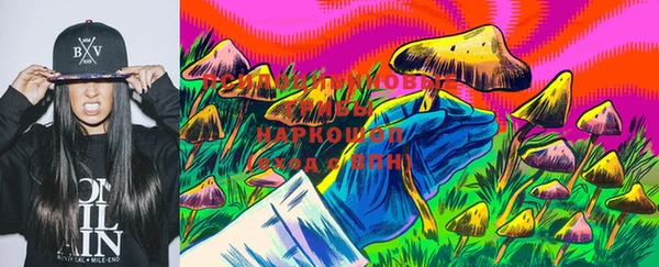 СК Аркадак