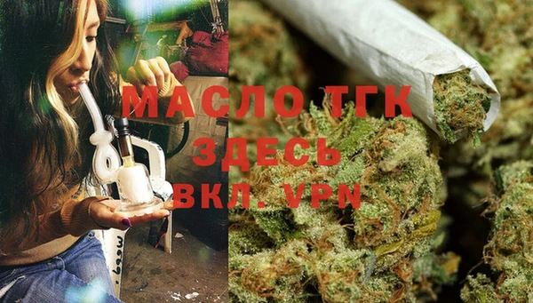 СК Аркадак