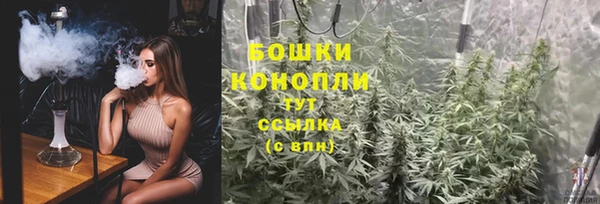 СК Аркадак